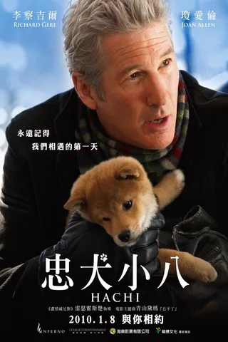 忠犬八公的故事 cover